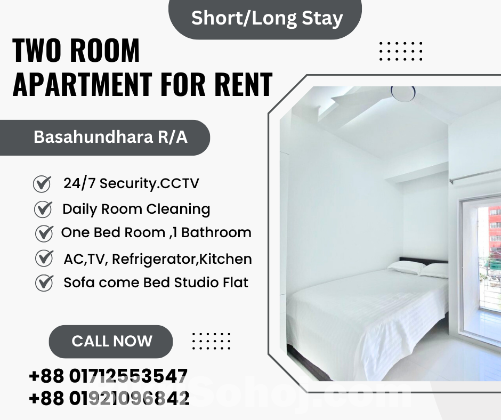Excellent Two Room Apartments For Rent In Bashundhara R/A